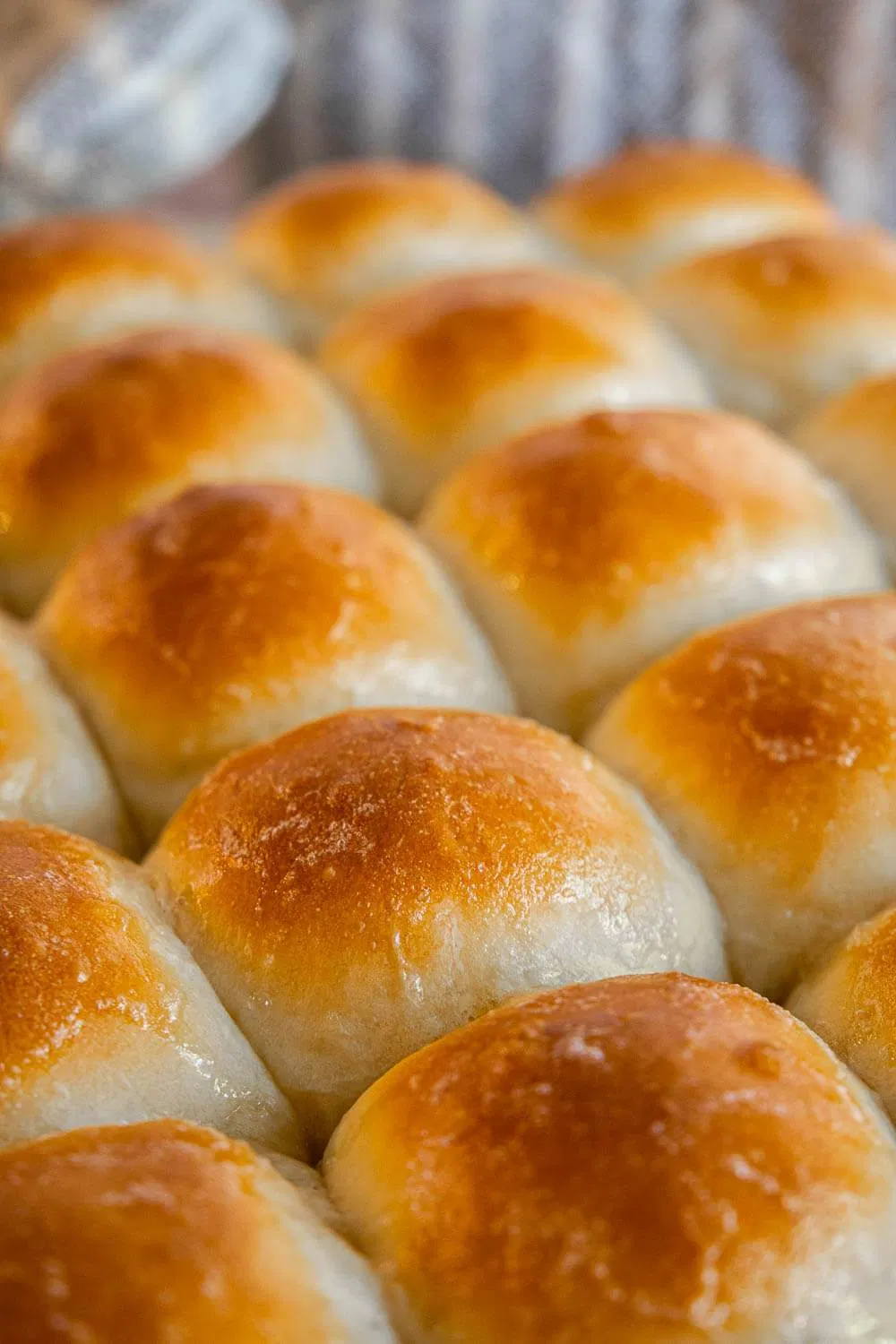 Sourdough Discard Recipes Archives Page 6 Of 9 Twelve On Main sourdough-discard-recipes-archives-page-6-of-9-twelve-on-main